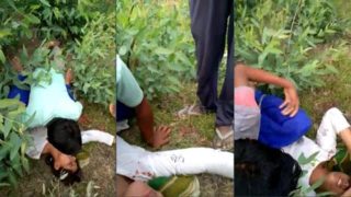 Desi Girl Jungle Gangbang Sex Video – Mydesi2 Xxx